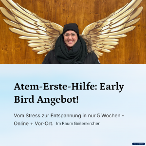 5 Wochen Breathwork-Kurs